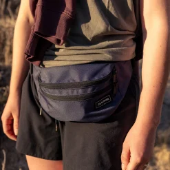 Classic Hip Pack - Burnished Lilac
